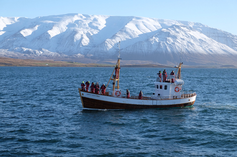 Whale-watching boat and fjord, Iceland