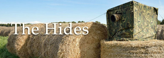 Our Hides