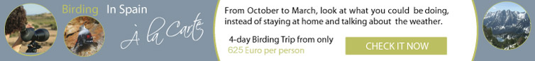 Birding In Spain "À la Carte" - A Complete 4-day birding from only 575 Euro per Person. Click Here to download a PDF with all "À la Carte" trips and detailed information