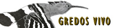 Discover the exciting wildlife of central Spain