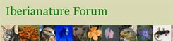 A forum dedicated to the natural history of Spain