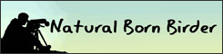 The Natural Born Birder website