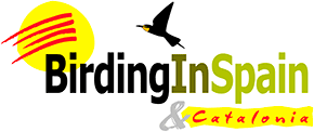 Logo of Birding in Spain website