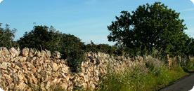 The road to the Cap de ses Salines lighthouse leads through an enchanting mosaic of fields, dry stone walls and maquis.