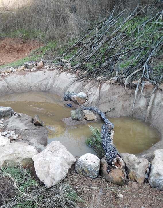 New drinking pool in the making