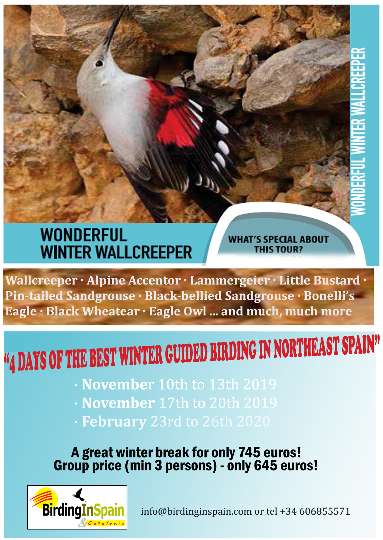 Wonderful Winter Wallcreeper Tour