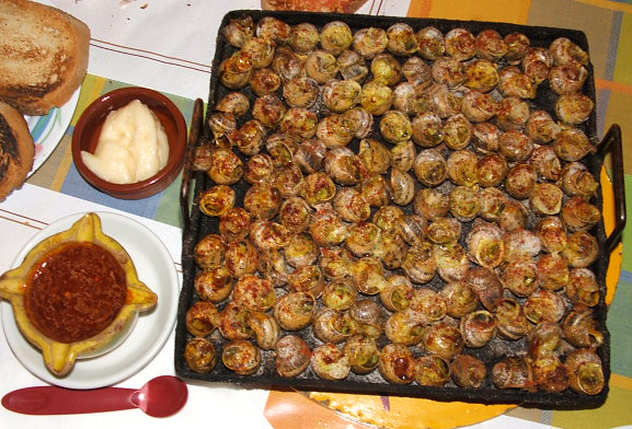 Griddled snails, Lleida.