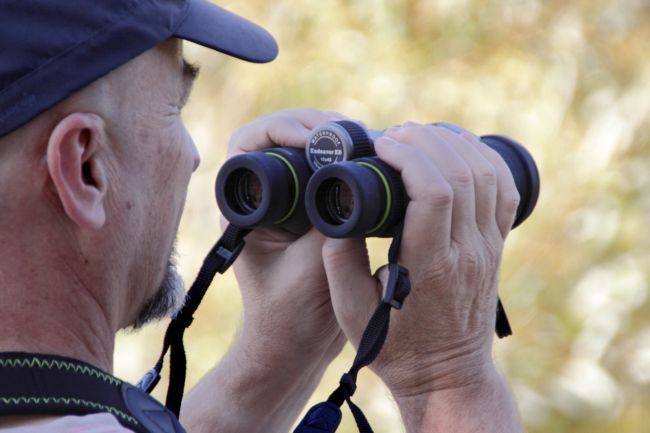 binoculars in hand