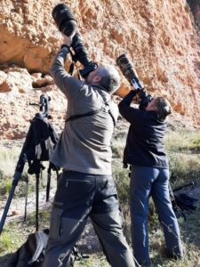 Wallcreeper photography