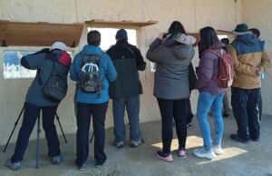 Winter waterbird count Lleida