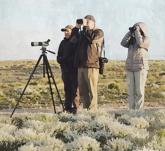 Birding in a group
