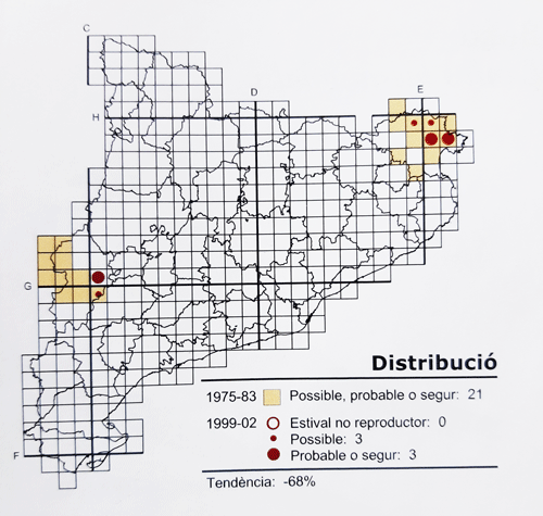 Distribution of Lesser Grey Shrike in Catalonia in 1999-2002