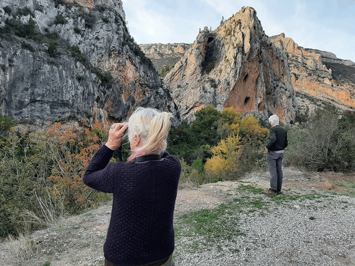 Winter Wallcreeper tour participants 2023