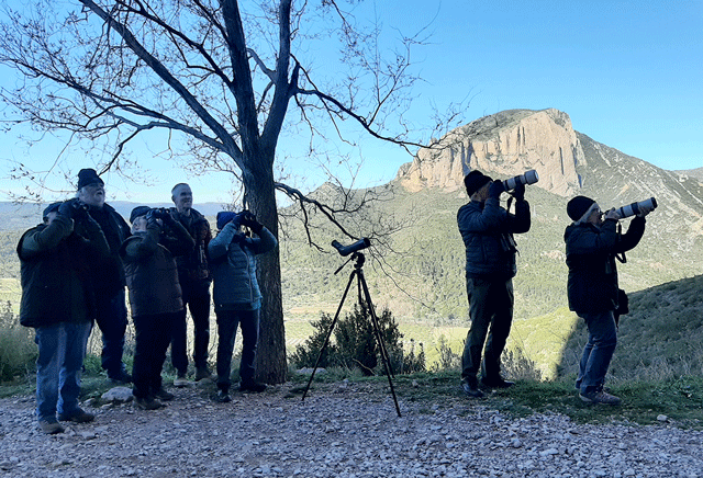 Wallcreeper tour group with Wallcreeper!