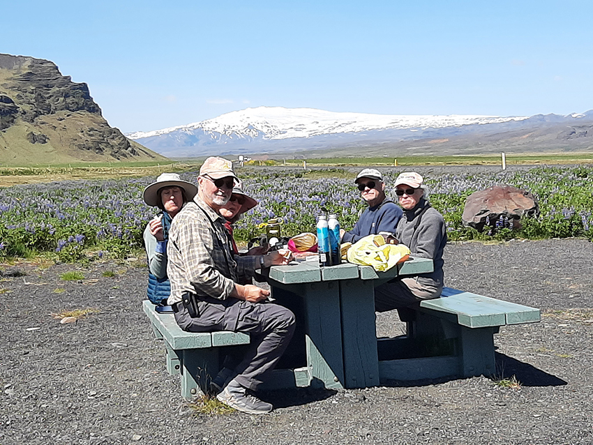 Picnic in Iceland