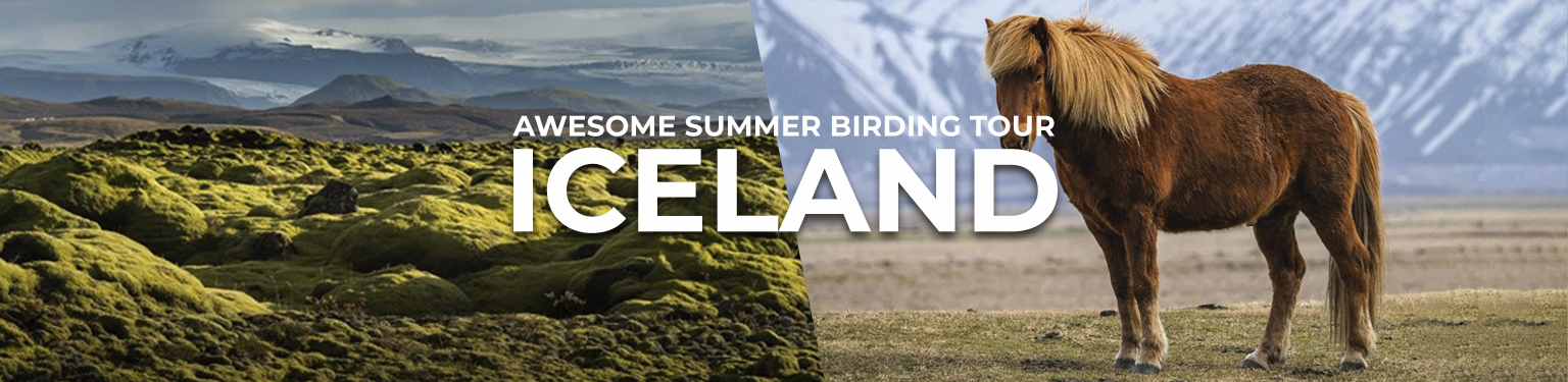 Iceland