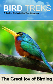 Bird Treks USA