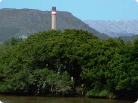 S'Albufera Natural Park Birding Experience