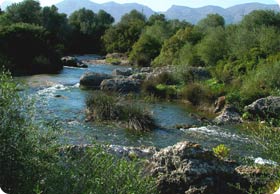 S'Albufereta Natural Reserve Birding Experience