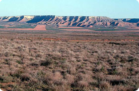 Birding in Belchite Steppes - Monegros