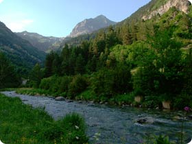 Benasque Birding Experience