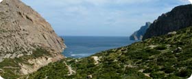 The Boquer Valley and Formentor Peninsula Birding Experience