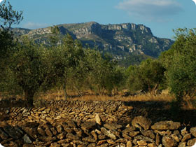 The Massifs of Cardó and Boix