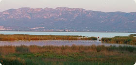 Encanyissada - The Ebro Delta