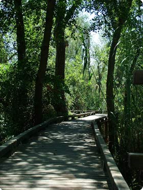 Gallery Woodland Walkway - Flix