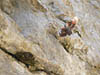   28. Wow! A Wallcreeper! A great bird, although it's no surprise – Wallcreepers are regular here in the winter. 