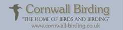The home of birds and birding in Cornwall and the Isles of Scilly