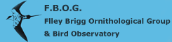 Filey Brigg Ornithological Group