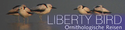 The leading Swiss bird tour company