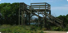 The new observation tower overlooking the depuradora (waterworks).