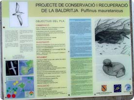 Information panel on the endemic Balearic Shearwater at the Cap de Formentor lighthouse.