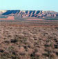 Belchite Steppes