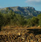 The Massifs of Cardó and Boix