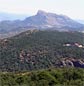 Peña Oroel y San Juan de la Peña birding experience