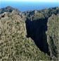 Birding in The Tramuntana Range