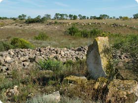 Monegros - Alcolea to Candasnos