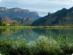 Montsec Range Birding Experience