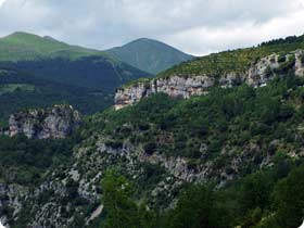 National Park of Ordesa Birding Experience