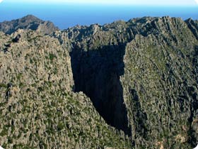 The Tramuntana Range Birding Experience